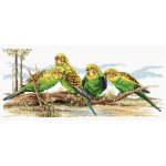 (image for) Budgie Buddies